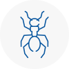 Ant Removals In Innerleithen