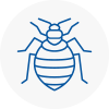 Bed Bug Extermination In Innerleithen