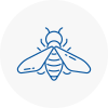 Bee Nest Removal Innerleithen