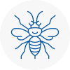 Innerleithen Hornet Nest Removals