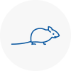 Mice Exterminators In Innerleithen