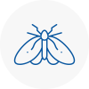 Moth Control Specialists In Innerleithen