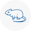 Rat Control Innerleithen