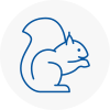 Innerleithen Rodent Removals